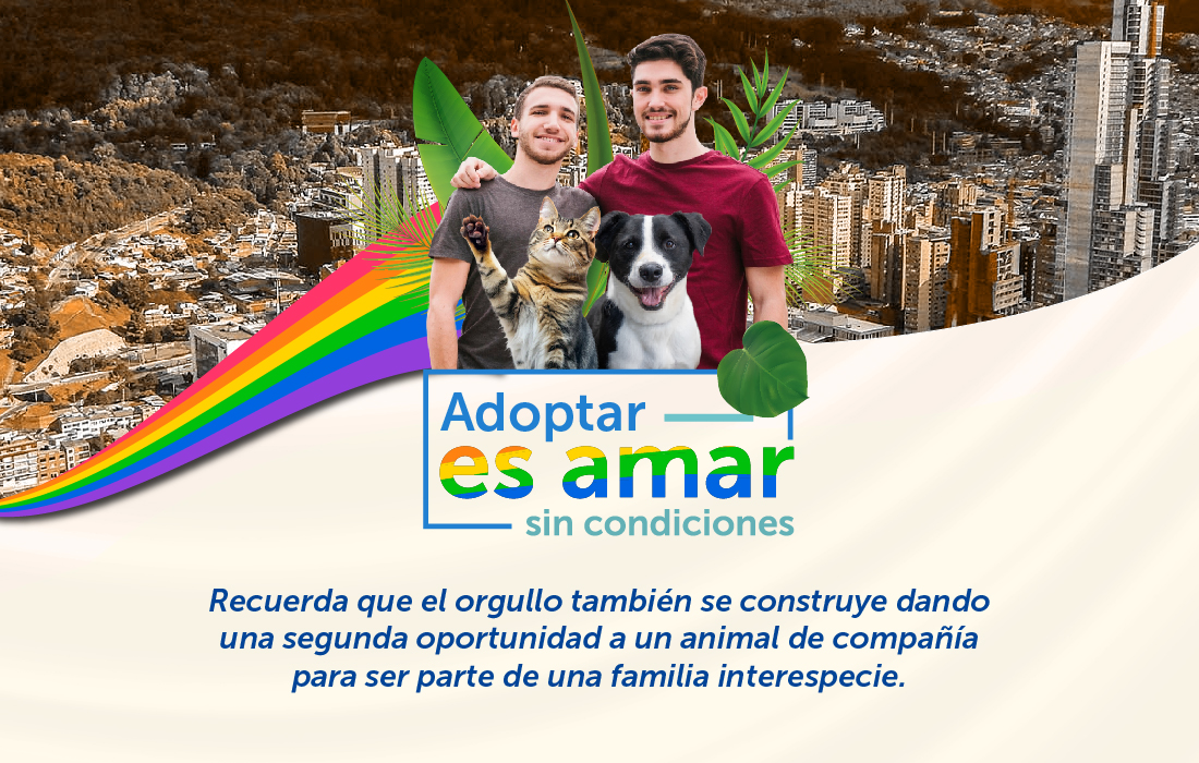 Prepárate para la Gran Jornada de Adopción: Familias LGBTI Interespecie en Theatrón
